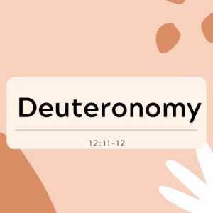 Deuteronomy.