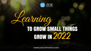 Learning To Grow Small Things Grow in 2022